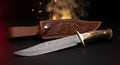 Custom Damascus bowie knife with stag handle, brass guard and carved leather belt sheath