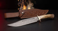 Damascus bowie knife with stag antler handle, brass guard and tooled leather belt sheath