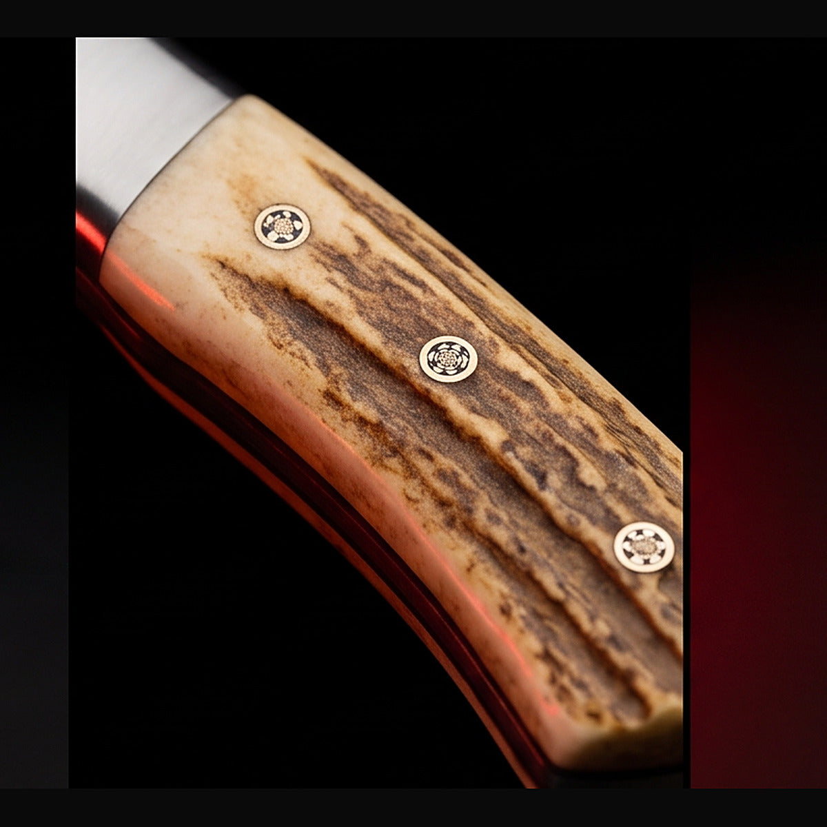 Damascus drop point hunting knife with stag horn handle, handle close up