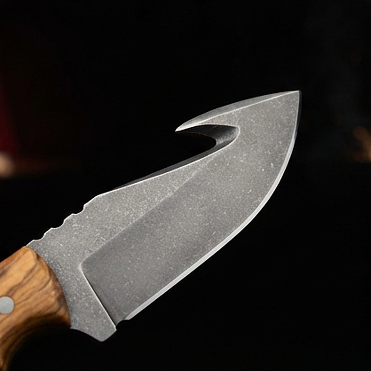 D2 tool steel gut hook skinning knife with olive wood handle and steel pins, cutting edge and tip detail