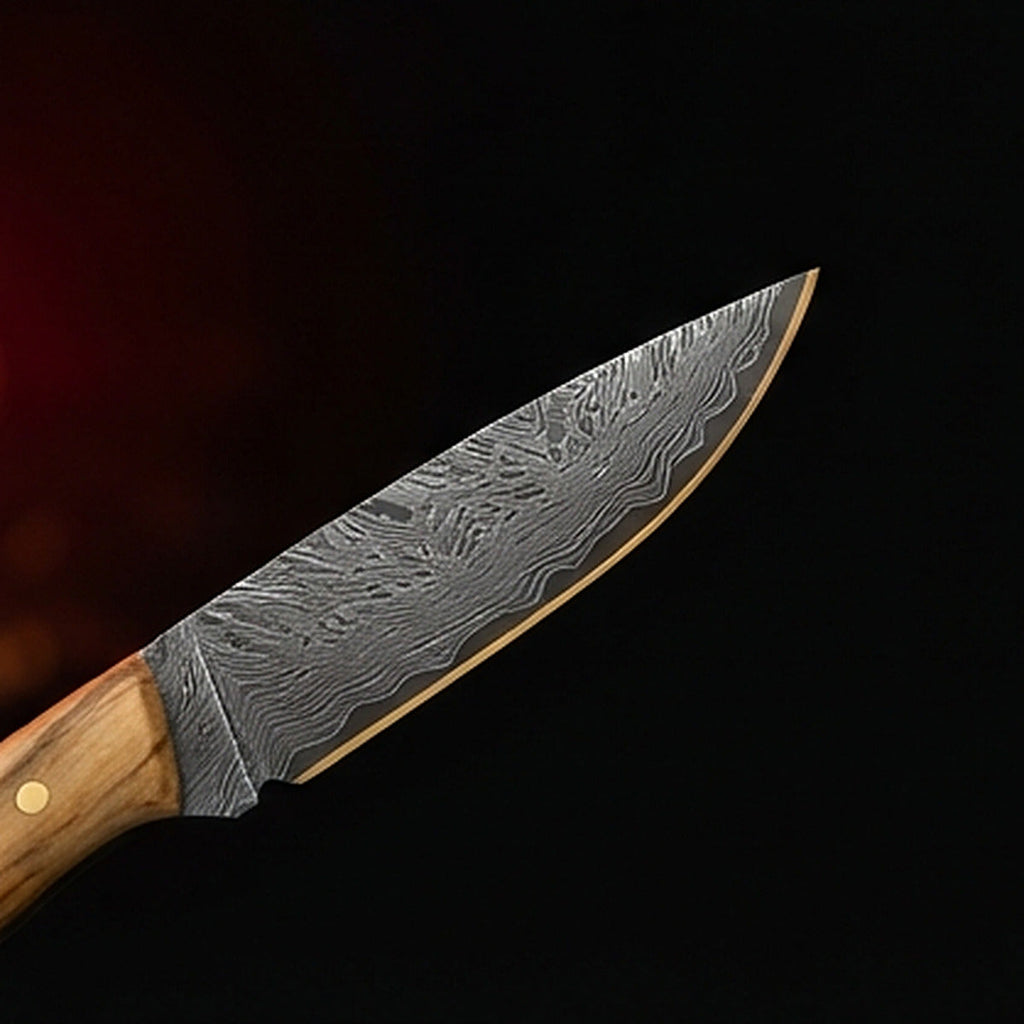 Damascus steel bird and trout knife with slim olive wood handle and brass pin, cutting edge and tip detail