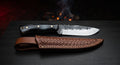 Hand forged skinning knife with a wide sweeping belly and a glossy black water buffalo horn handle